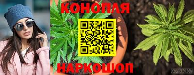 гидра Тулун