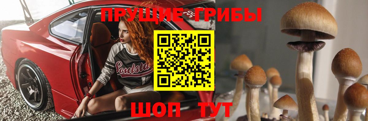 Псилоцибиновые грибы GOLDEN TEACHER Югорск